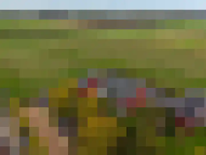 Tureluur 15 Waspik thumbnail 13