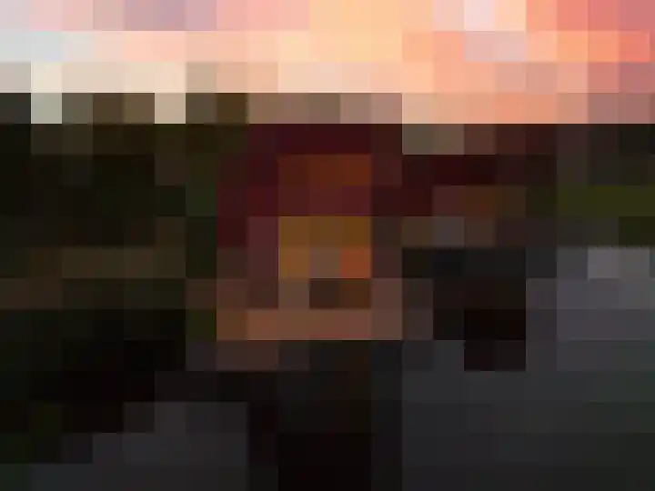 Tureluur 15 Waspik thumbnail 14