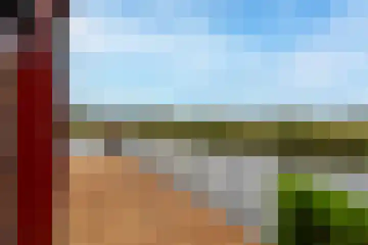 Tureluur 15 Waspik thumbnail 15