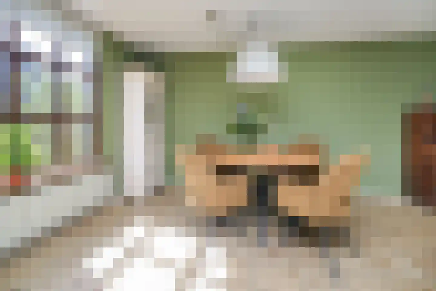 Tureluur 15 Waspik thumbnail 18
