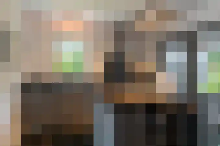 Tureluur 15 Waspik thumbnail 22