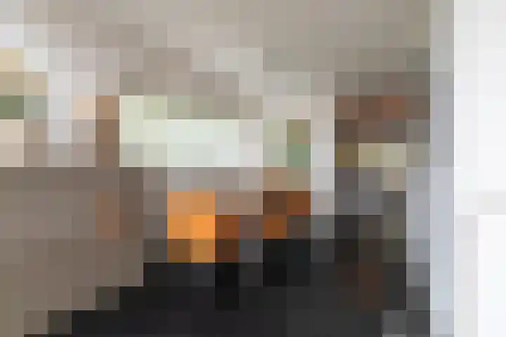Tureluur 15 Waspik thumbnail 25