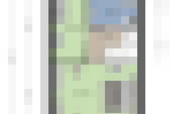 Tureluur 15 Waspik thumbnail 26