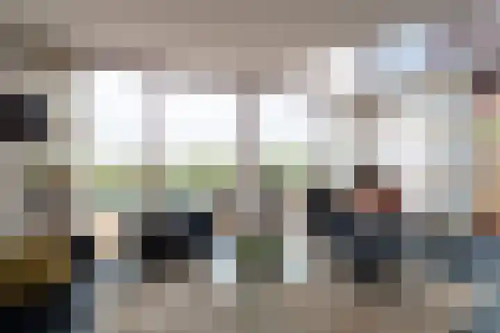 Tureluur 15 Waspik thumbnail 30