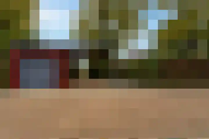 Tureluur 15 Waspik thumbnail 4