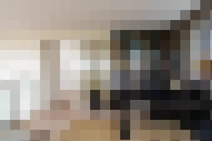 Tureluur 15 Waspik thumbnail 40