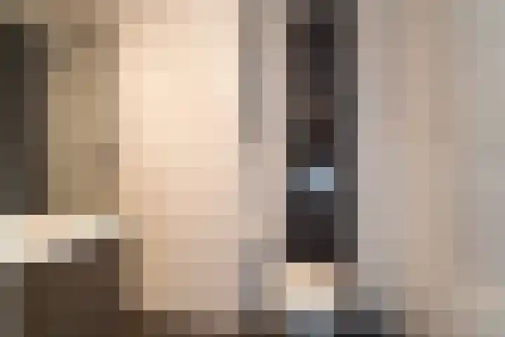 Tureluur 15 Waspik thumbnail 41