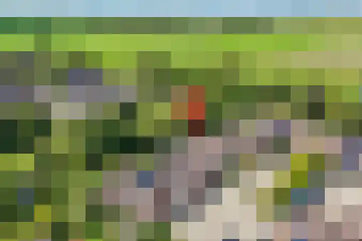 Tureluur 15 Waspik thumbnail 42
