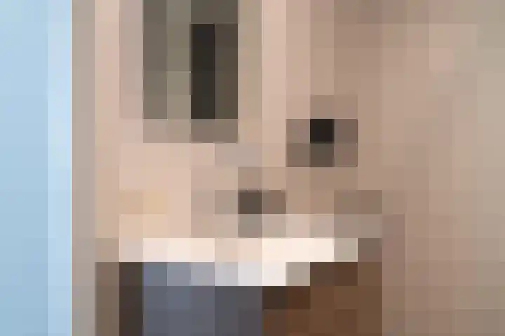 Tureluur 15 Waspik thumbnail 43