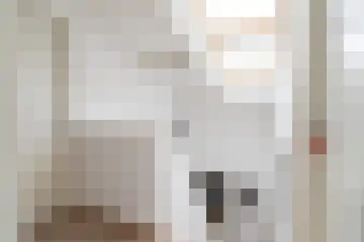 Tureluur 15 Waspik thumbnail 45