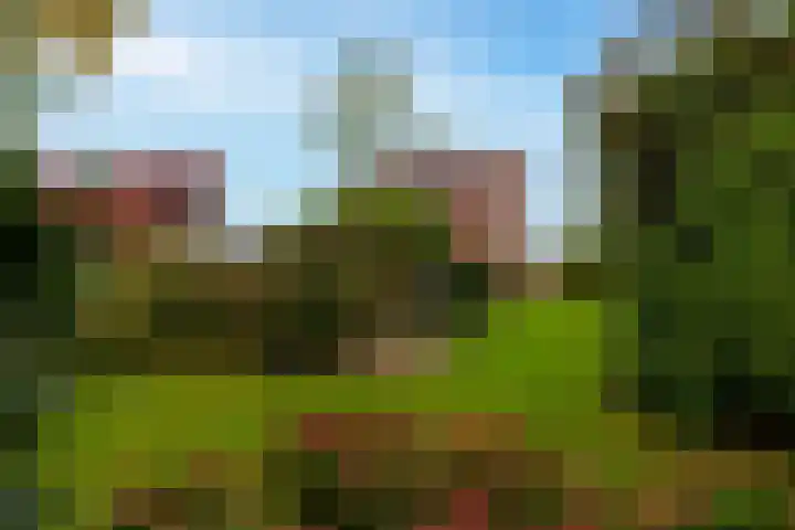 Tureluur 15 Waspik thumbnail 5