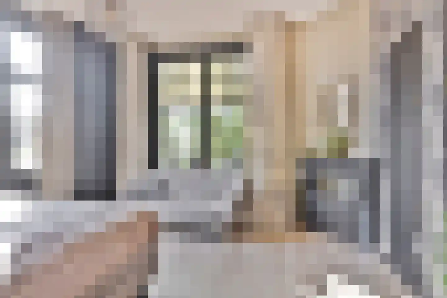 Tureluur 15 Waspik thumbnail 6