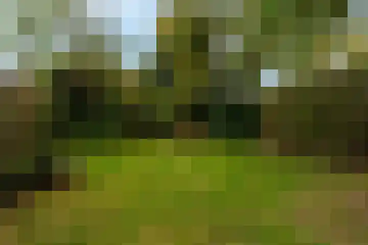 Tureluur 15 Waspik thumbnail 6