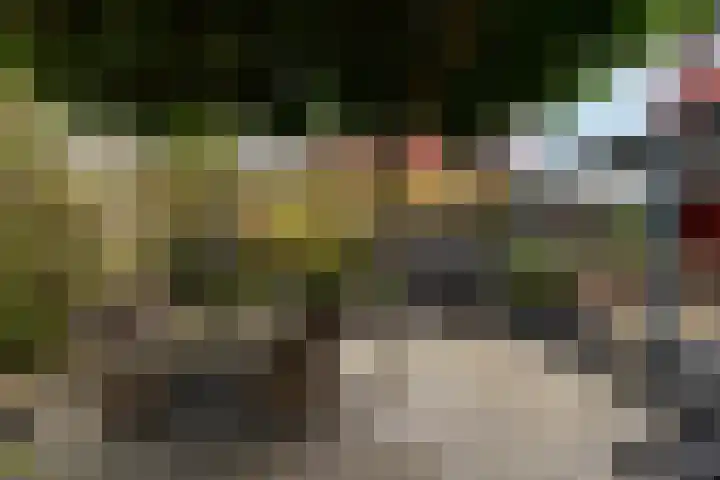 Tureluur 15 Waspik thumbnail 9