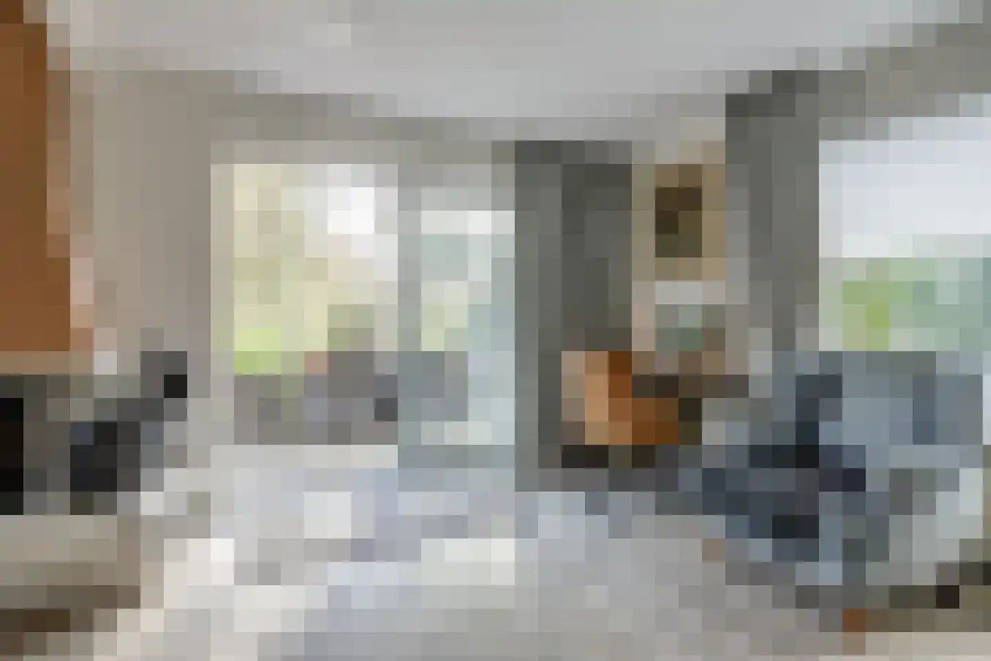 Tureluur 15 Zuid-Scharwoude thumbnail 11