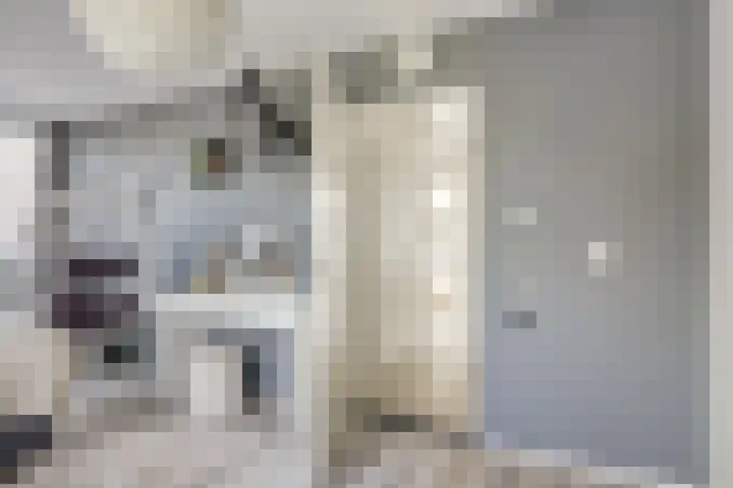 Tureluur 15 Zuid-Scharwoude thumbnail 18