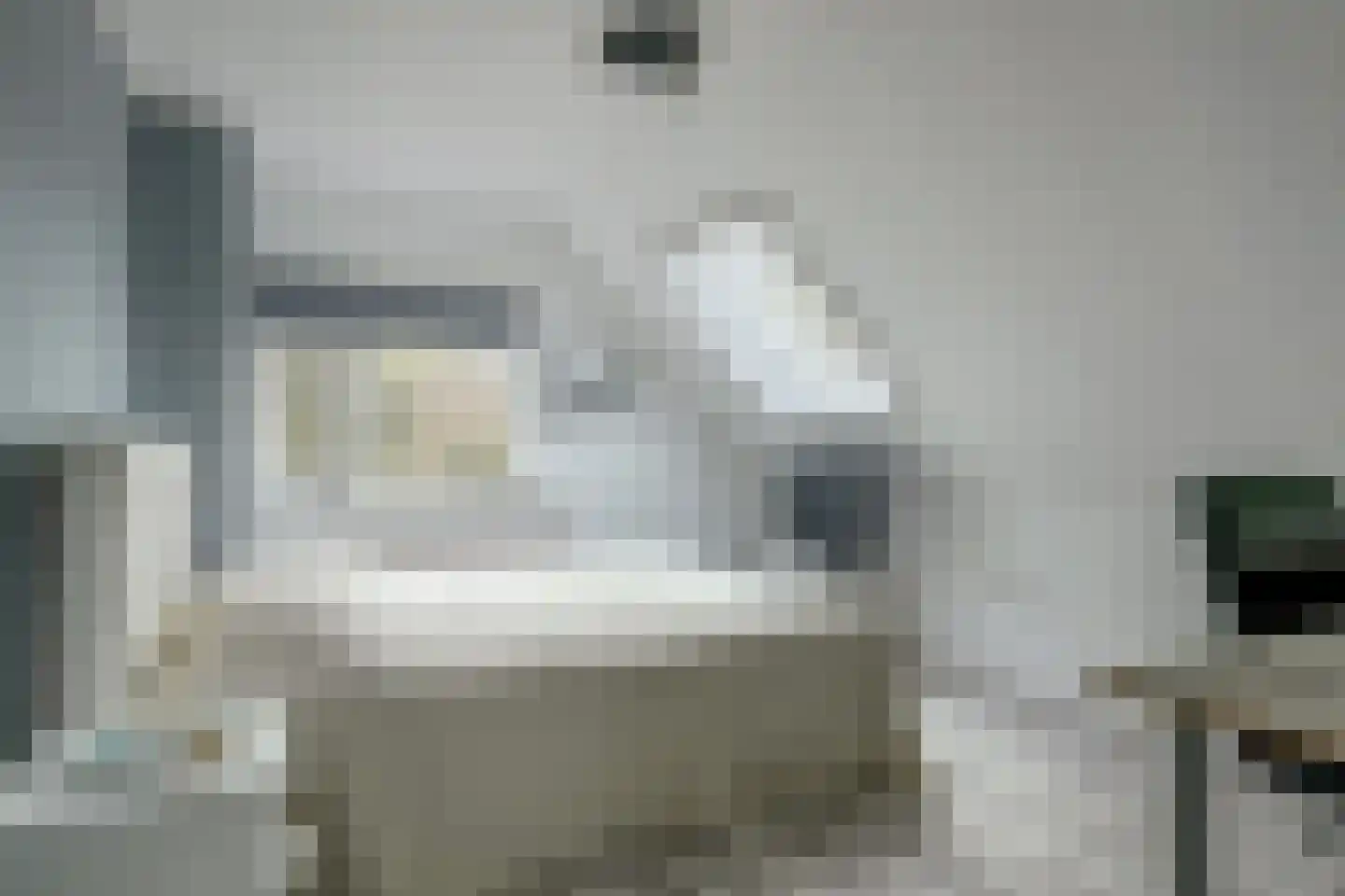 Tureluur 15 Zuid-Scharwoude thumbnail 20