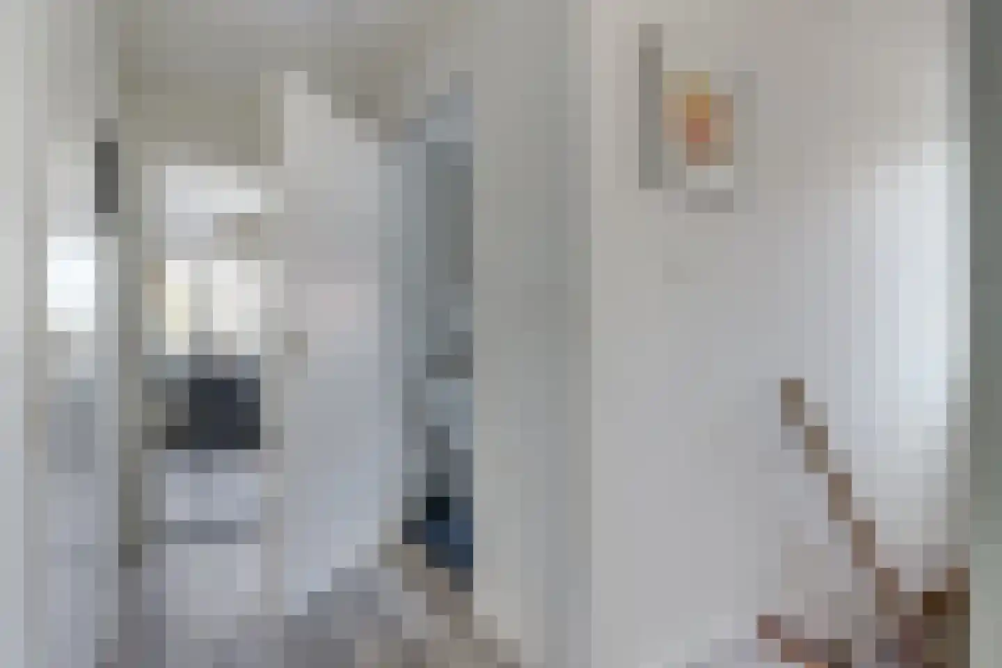 Tureluur 15 Zuid-Scharwoude thumbnail 22