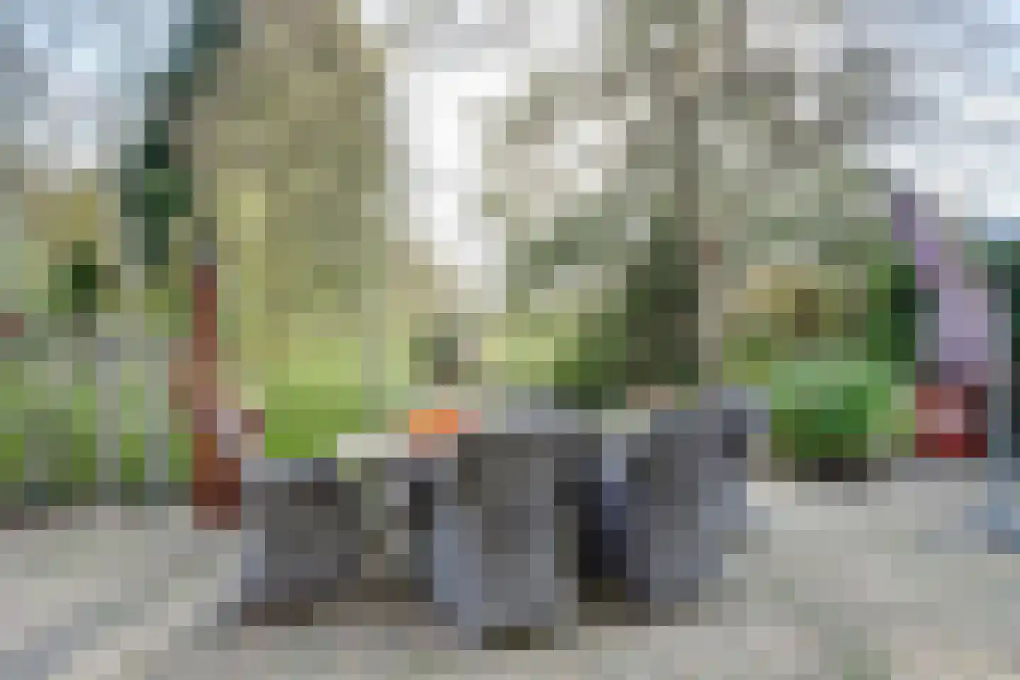 Tureluur 15 Zuid-Scharwoude thumbnail 24