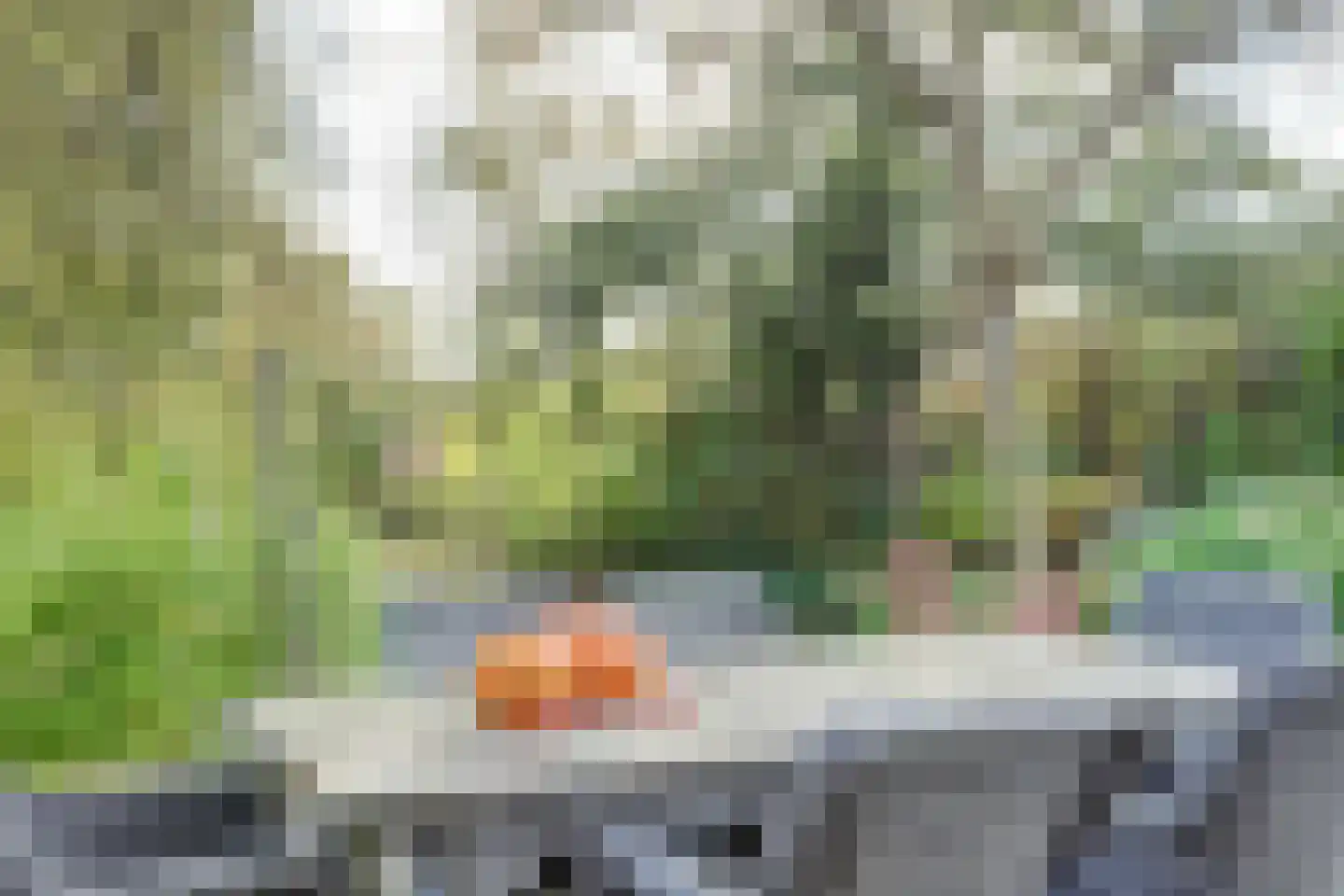 Tureluur 15 Zuid-Scharwoude thumbnail 25