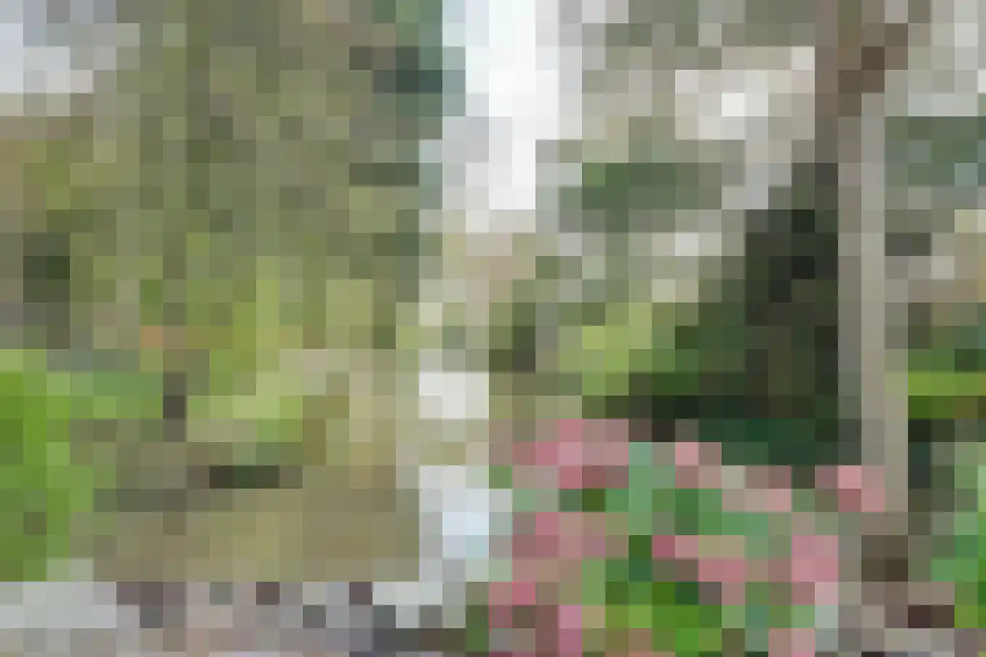 Tureluur 15 Zuid-Scharwoude thumbnail 26