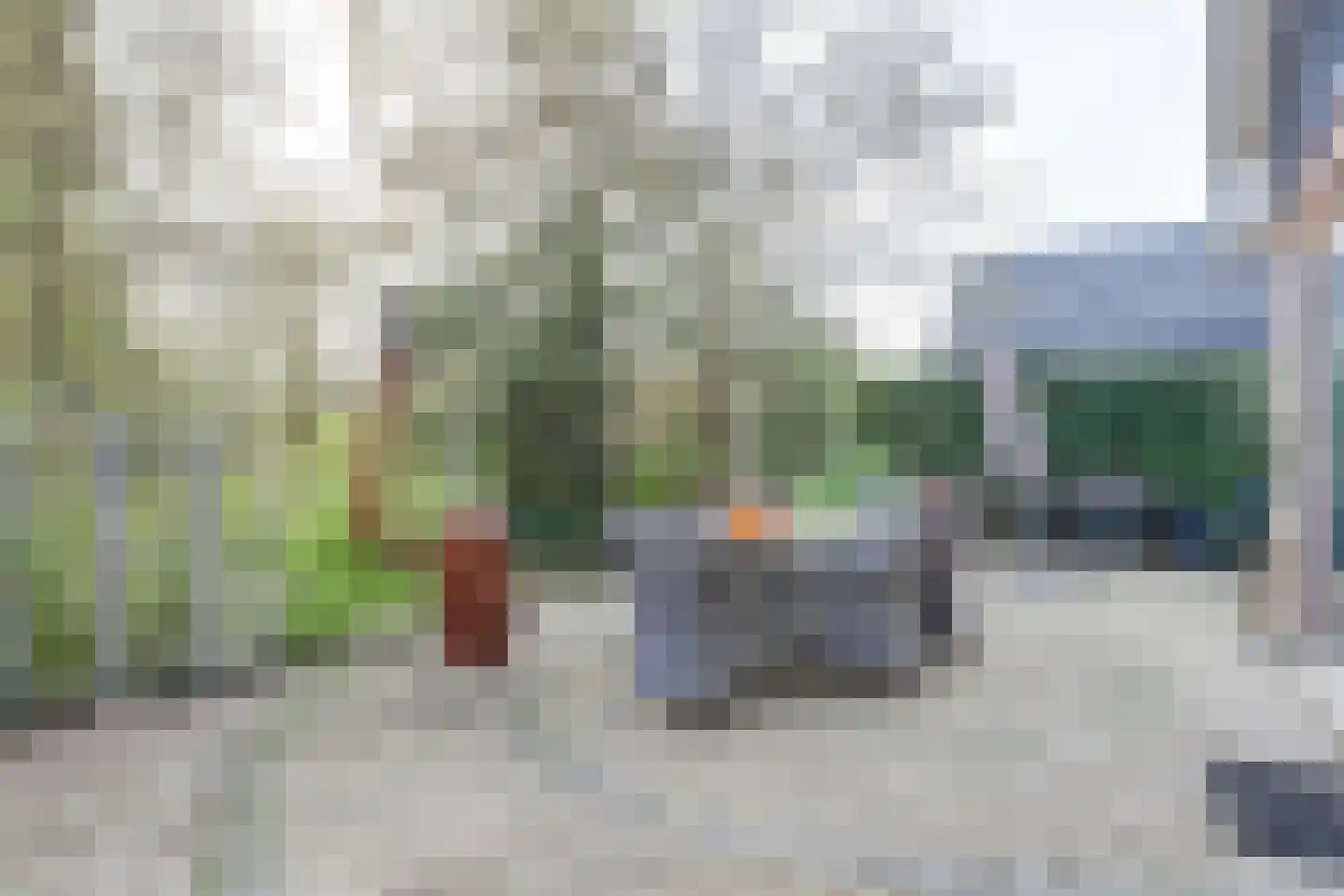 Tureluur 15 Zuid-Scharwoude thumbnail 27