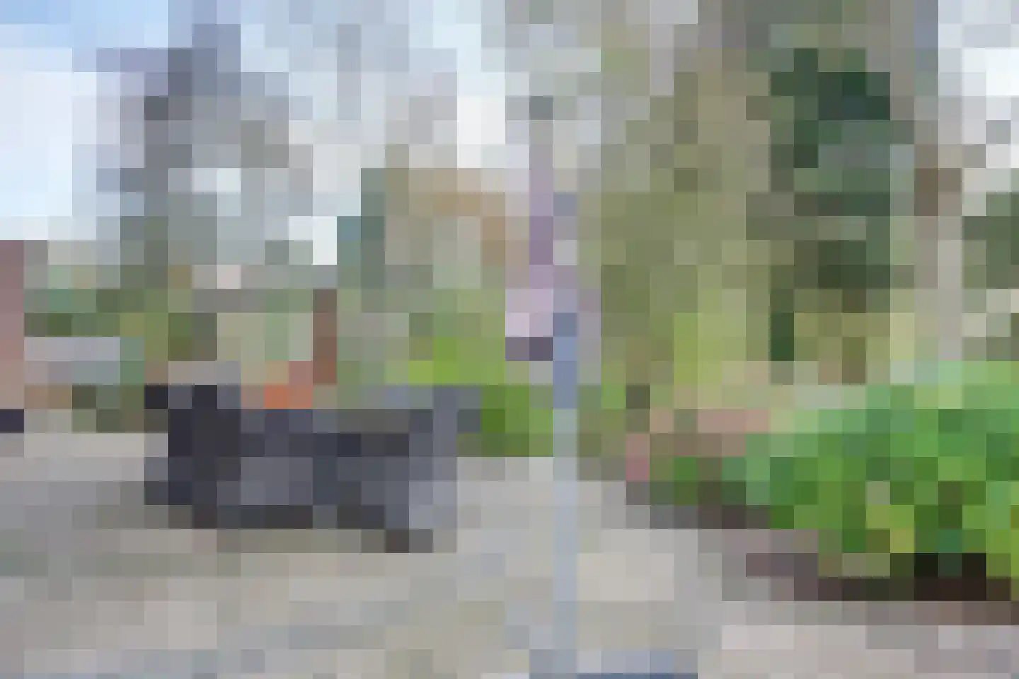 Tureluur 15 Zuid-Scharwoude thumbnail 28