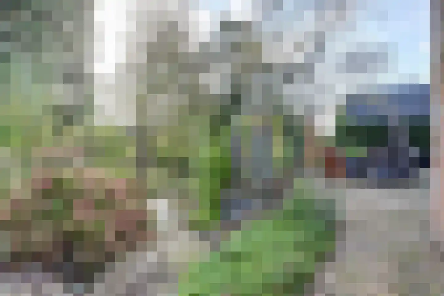 Tureluur 15 Zuid-Scharwoude thumbnail 29
