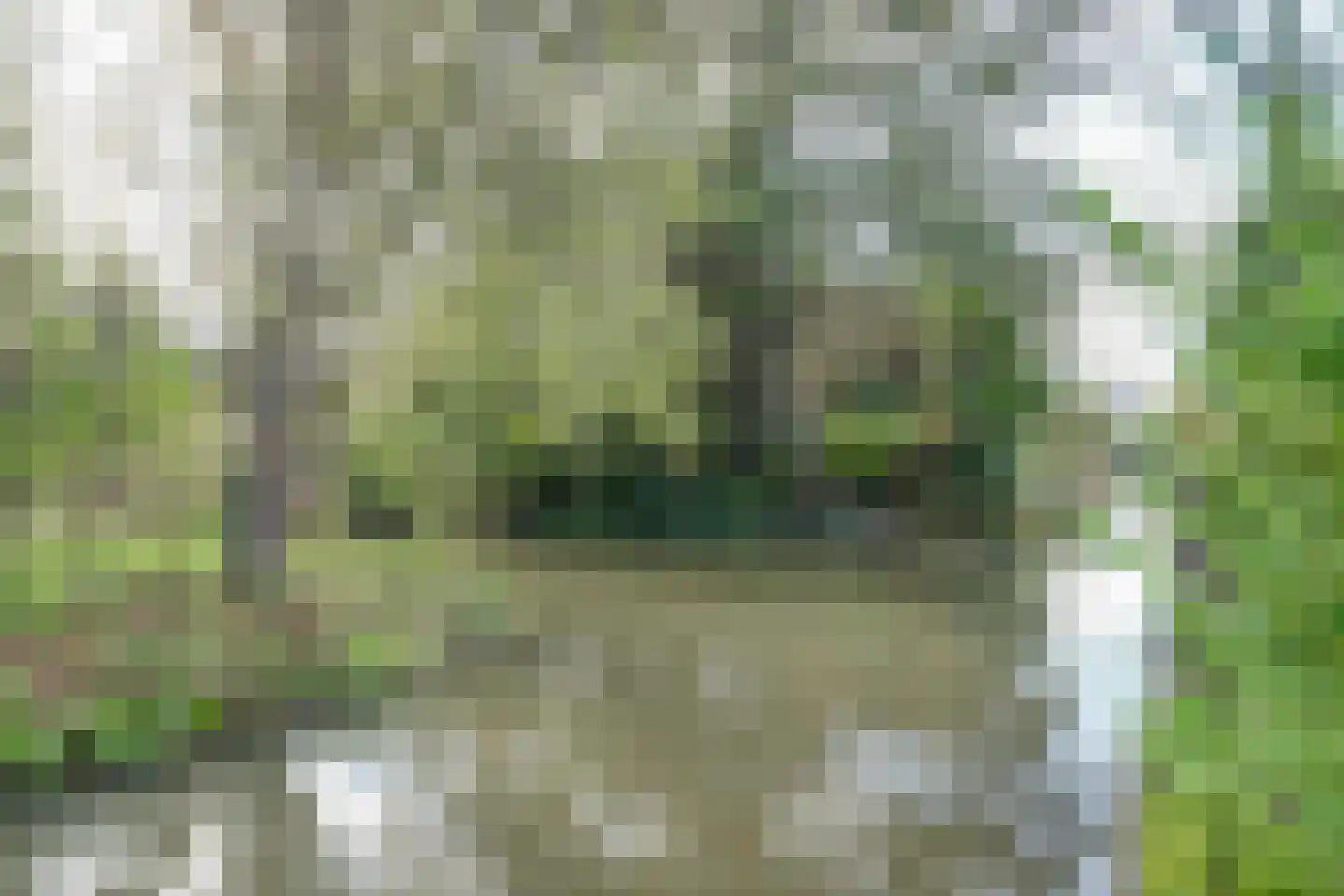 Tureluur 15 Zuid-Scharwoude thumbnail 30
