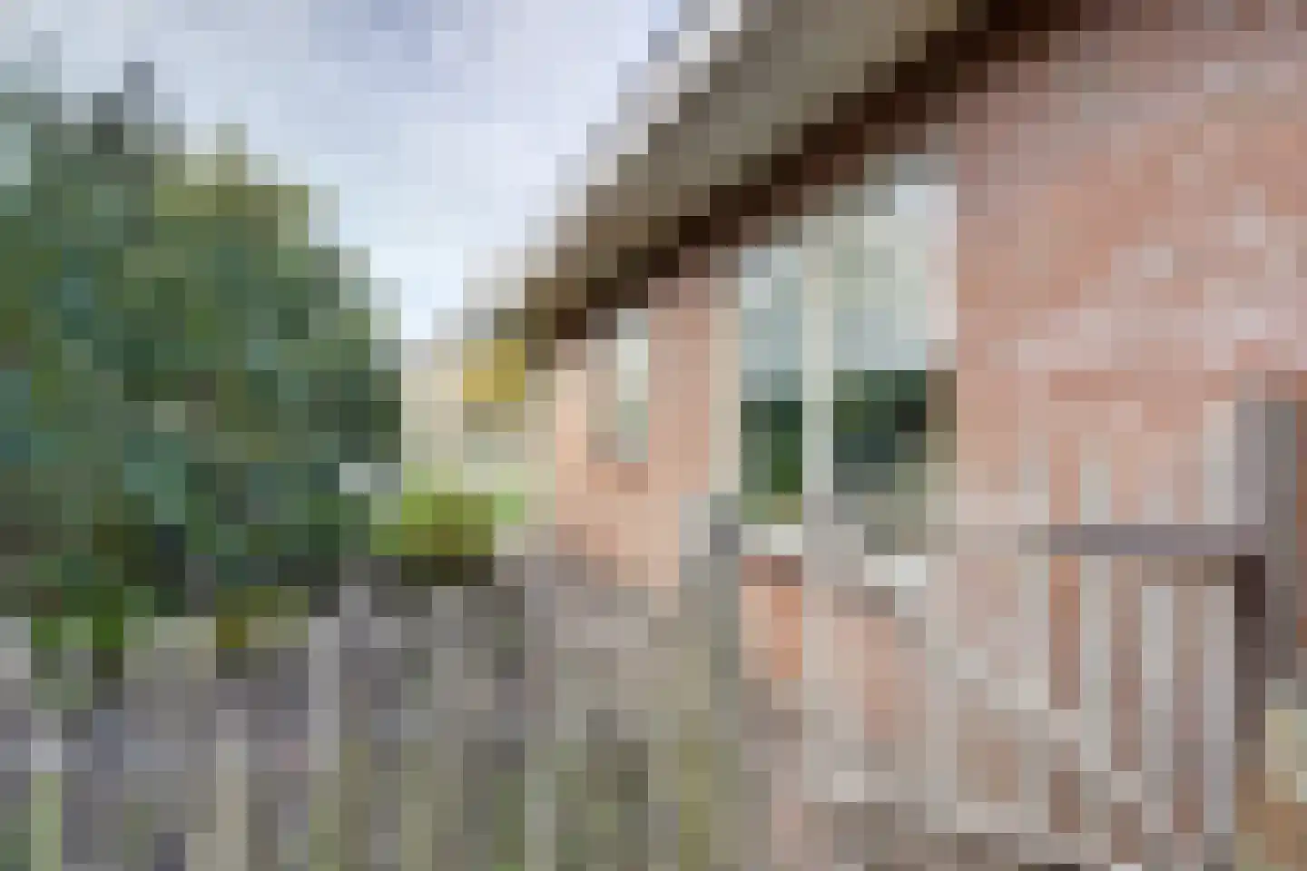Tureluur 15 Zuid-Scharwoude thumbnail 31
