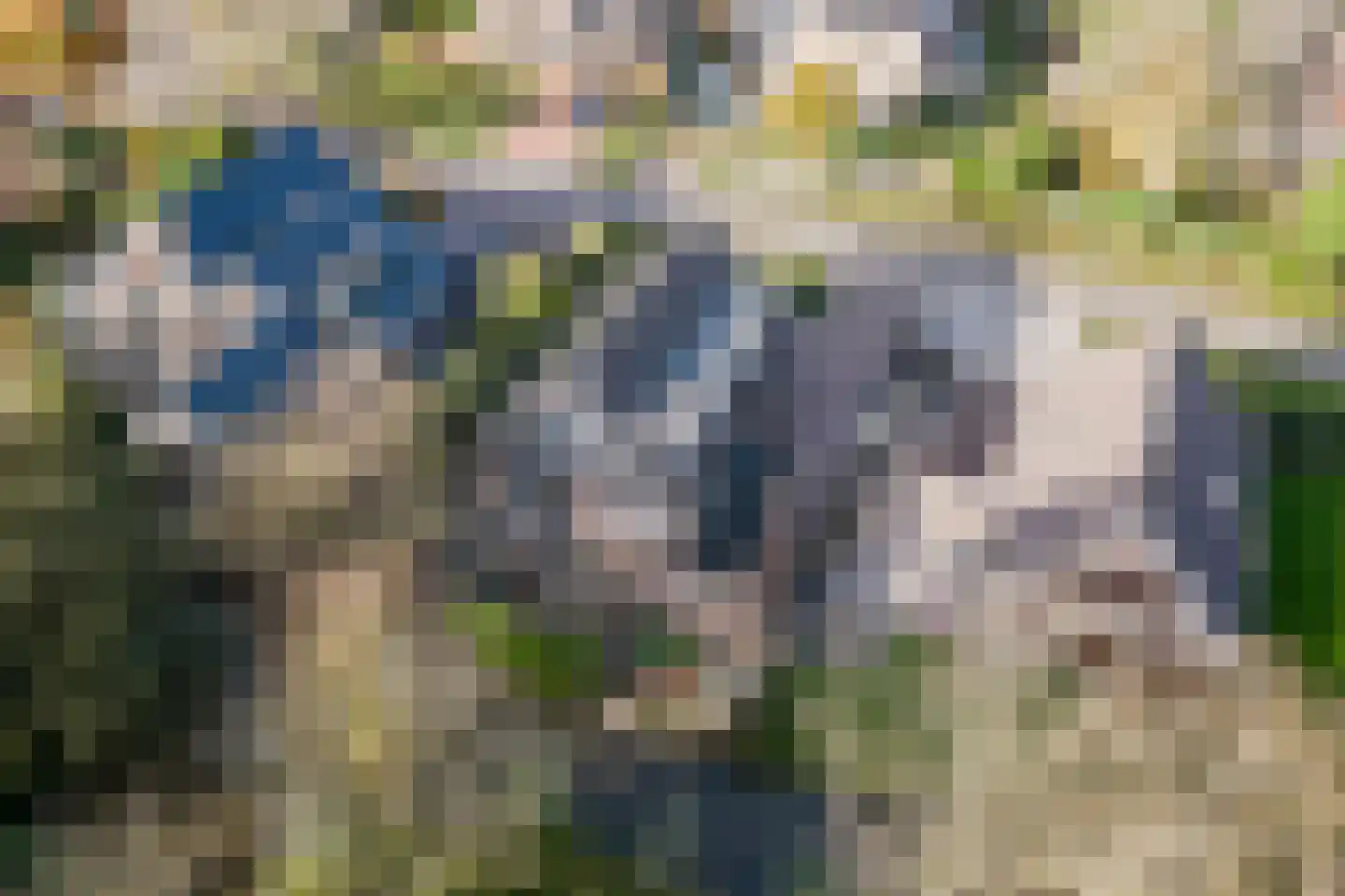 Tureluur 15 Zuid-Scharwoude thumbnail 33