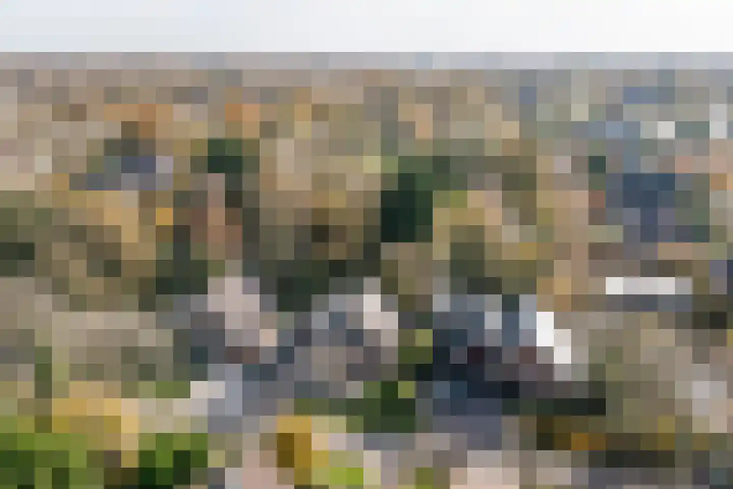 Tureluur 15 Zuid-Scharwoude thumbnail 34