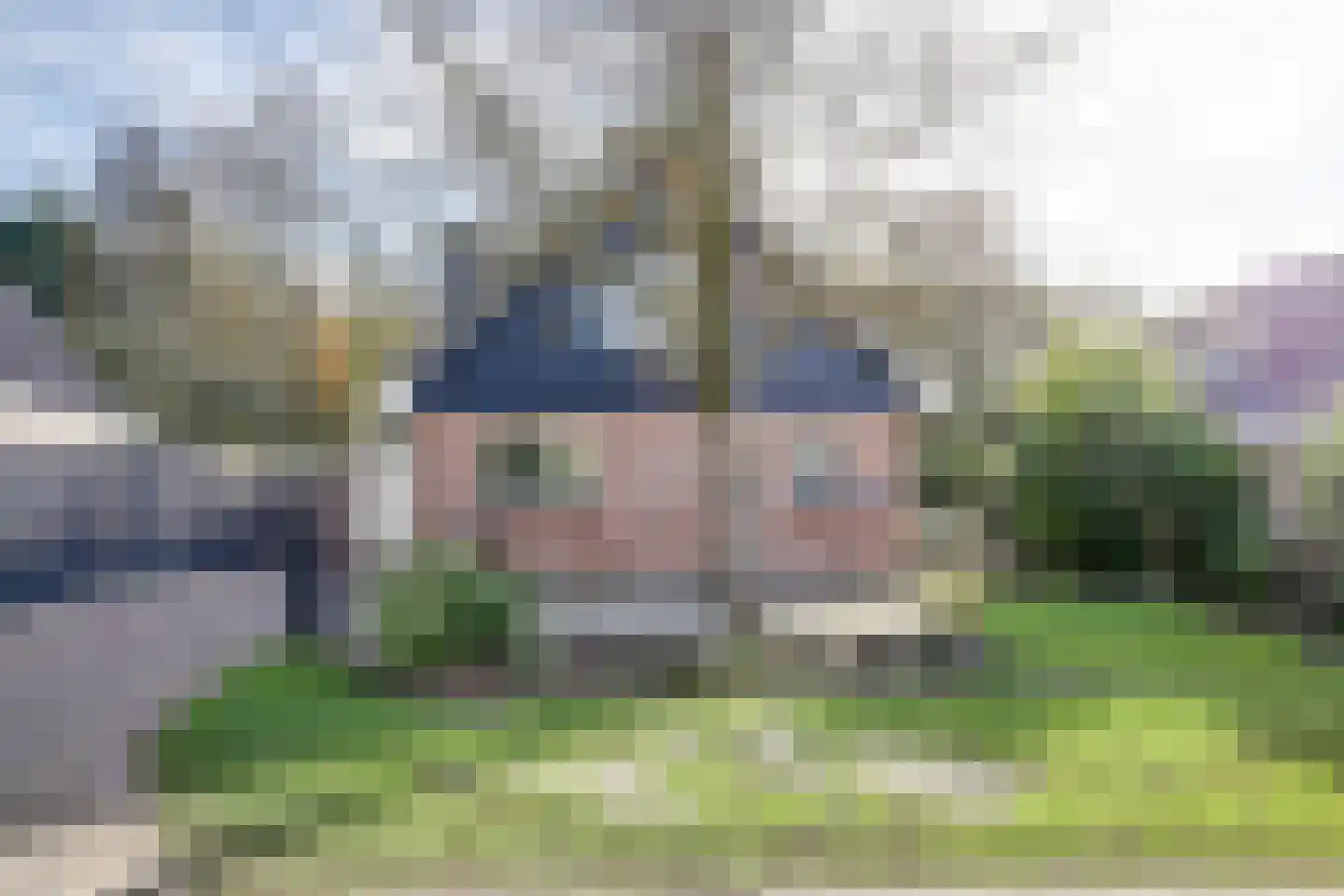 Tureluur 15 Zuid-Scharwoude thumbnail 4