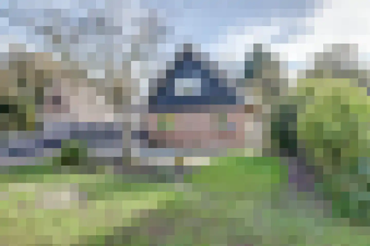 Tureluur 15 Zuid-Scharwoude thumbnail 5