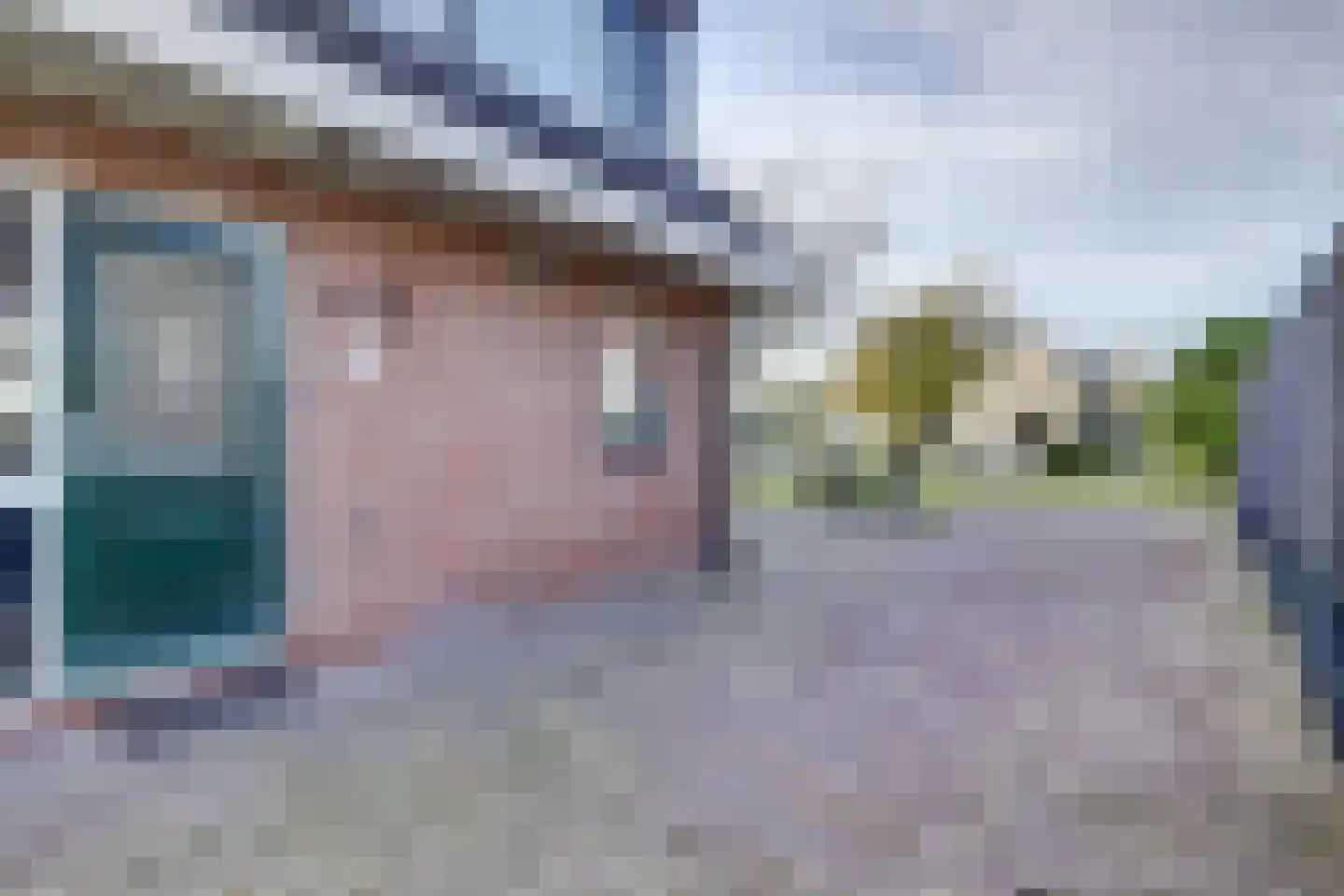 Tureluur 15 Zuid-Scharwoude thumbnail 6