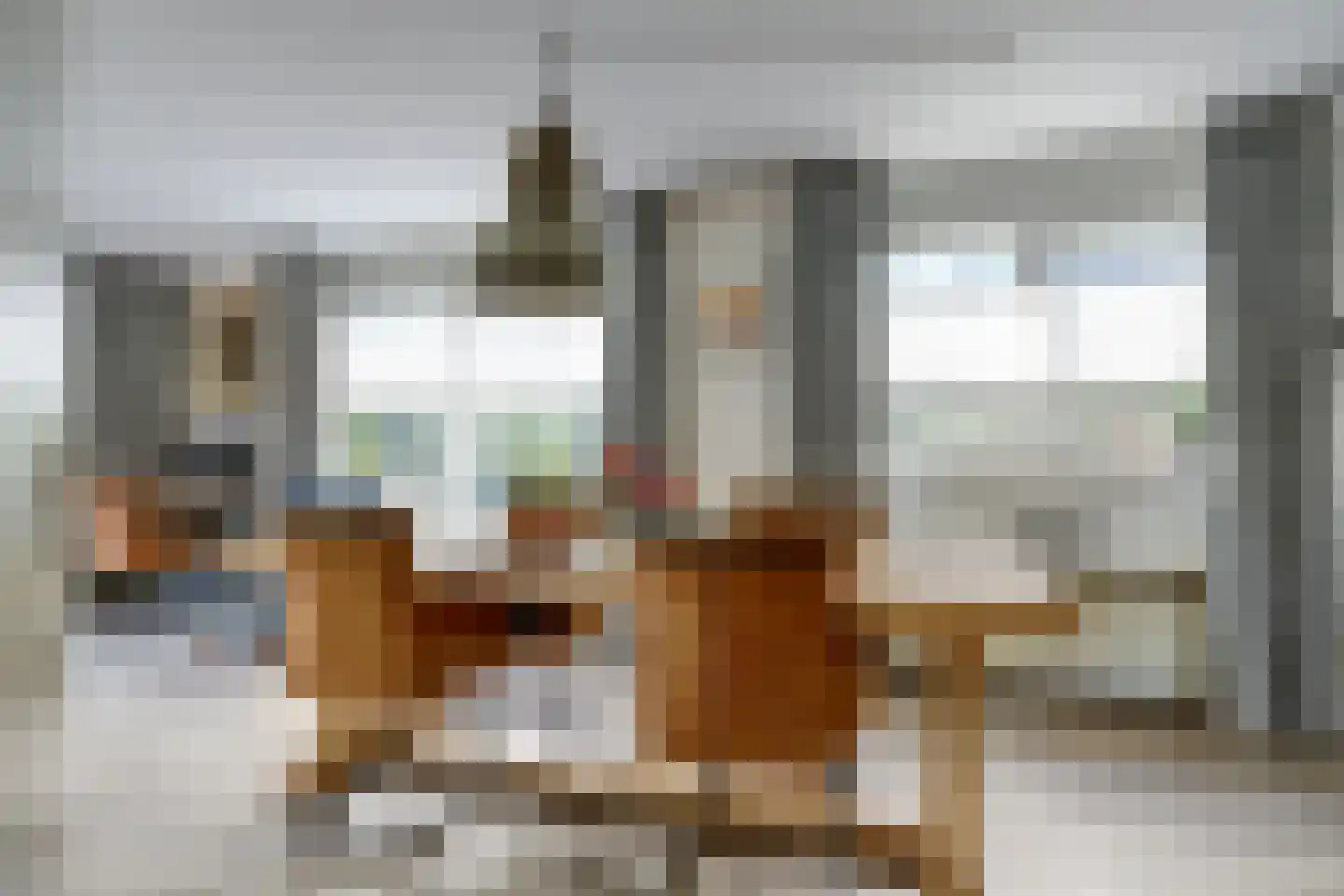 Tureluur 15 Zuid-Scharwoude thumbnail 7
