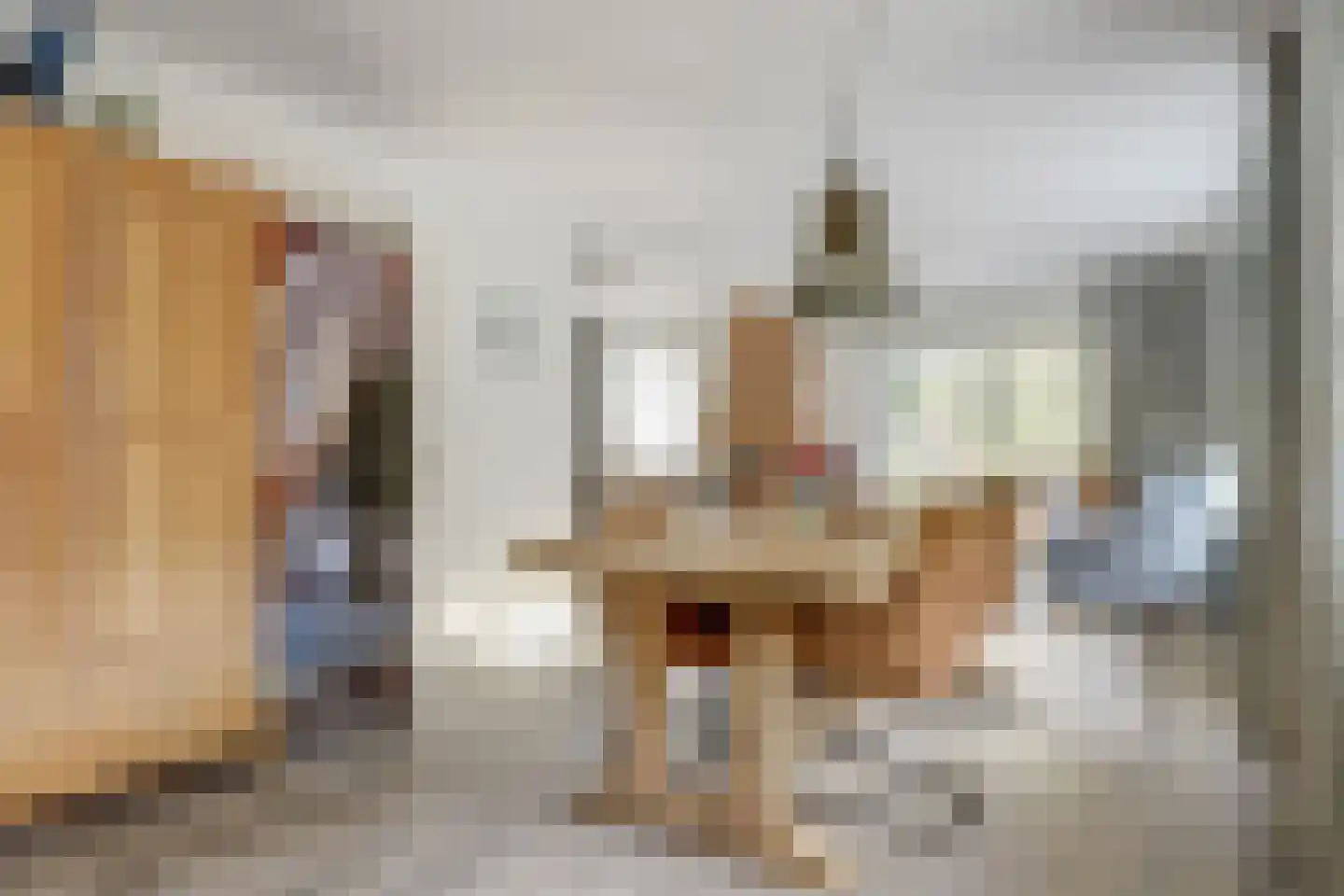 Tureluur 15 Zuid-Scharwoude thumbnail 8