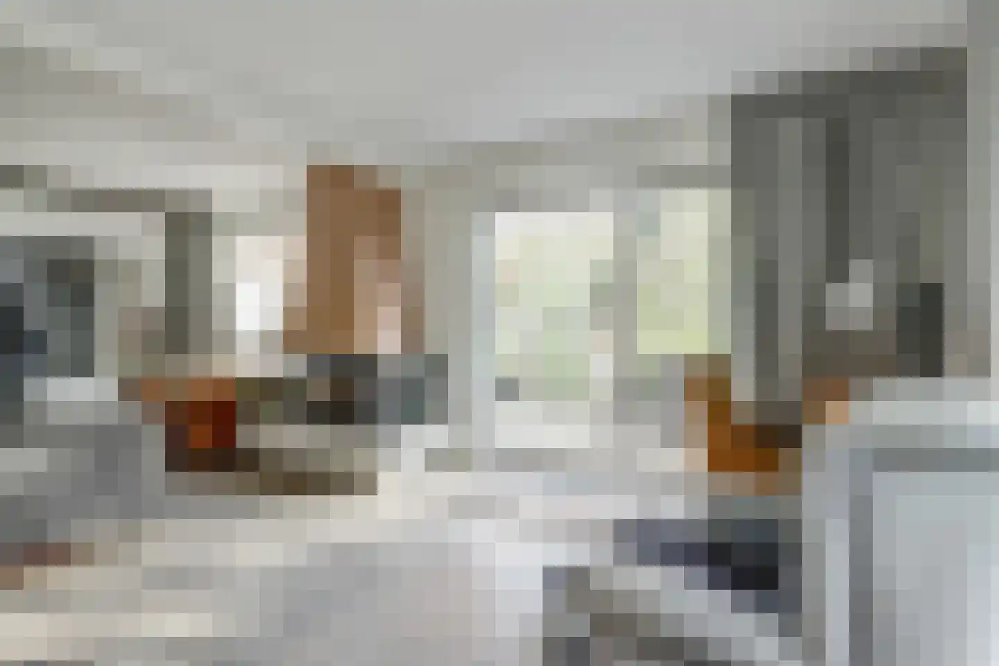 Tureluur 15 Zuid-Scharwoude thumbnail 9