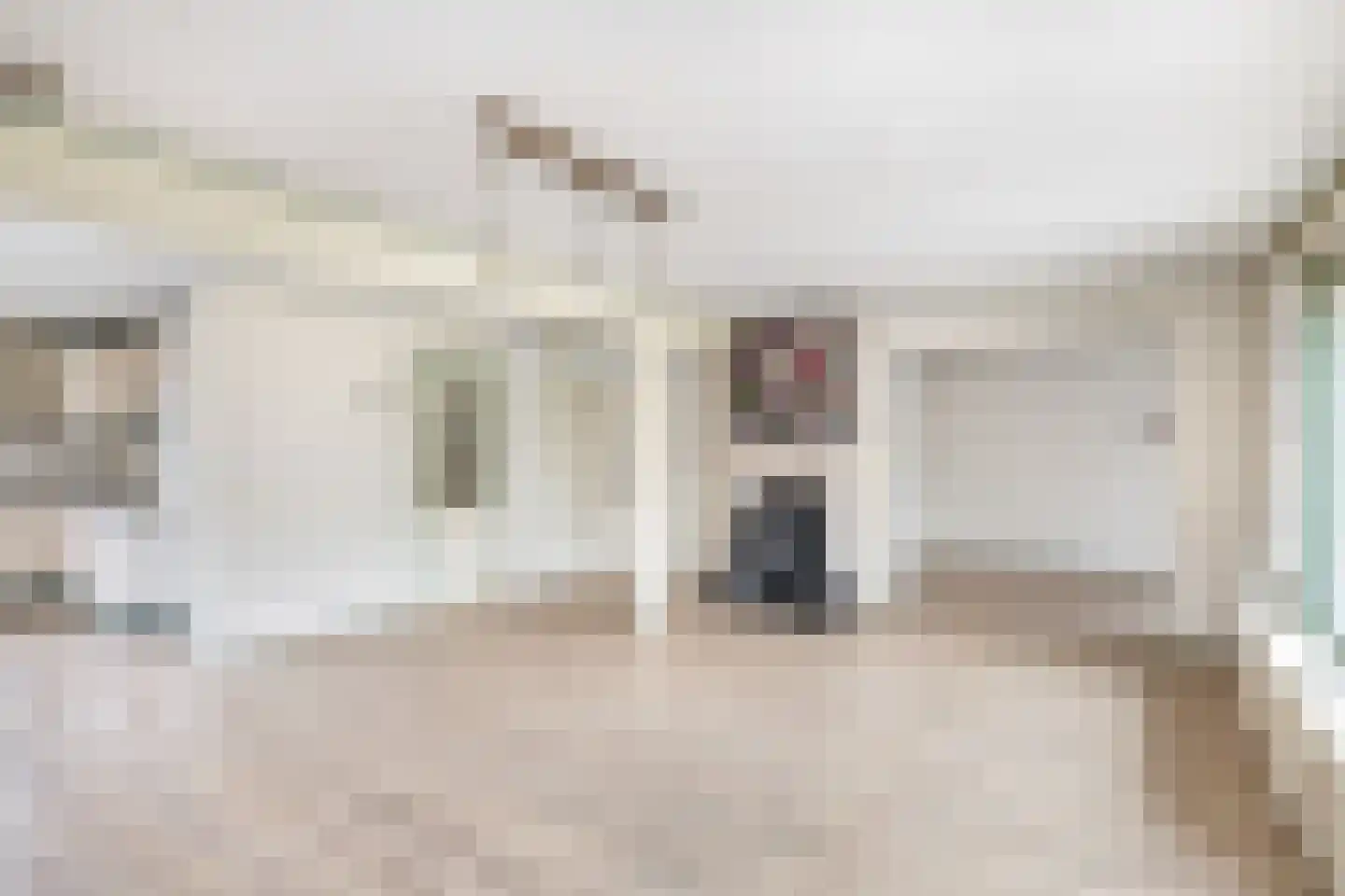 Tureluur 17 a Sommelsdijk thumbnail 11