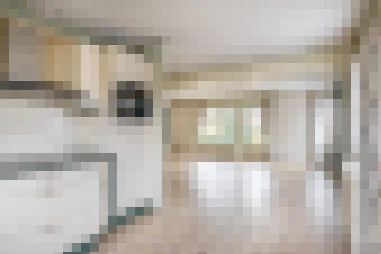 Tureluur 17 a Sommelsdijk thumbnail 13