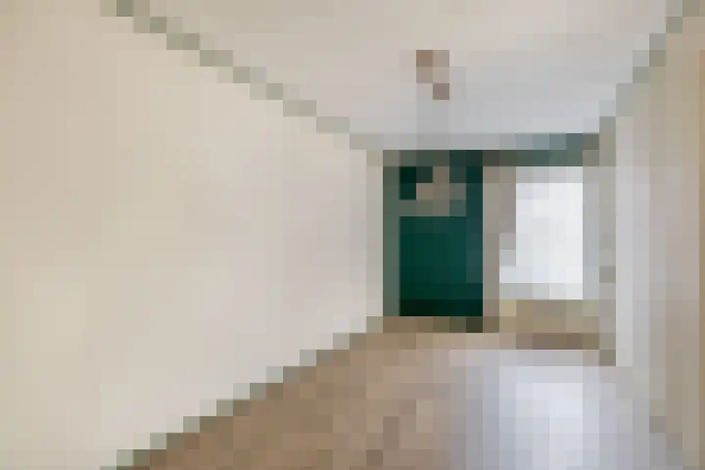Tureluur 17 a Sommelsdijk thumbnail 14