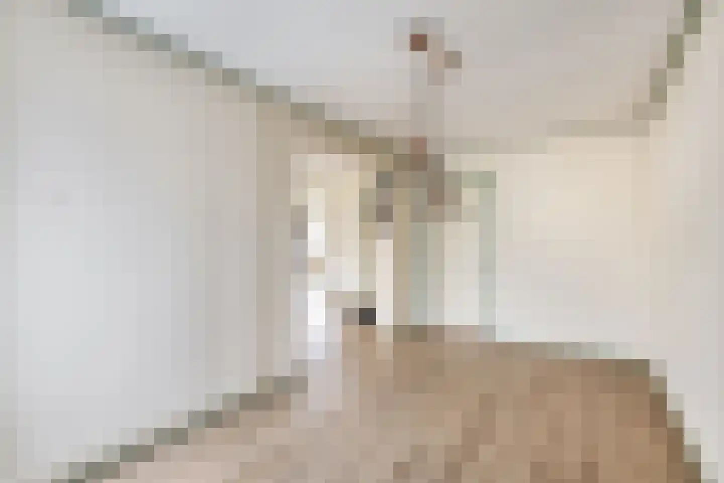Tureluur 17 a Sommelsdijk thumbnail 15