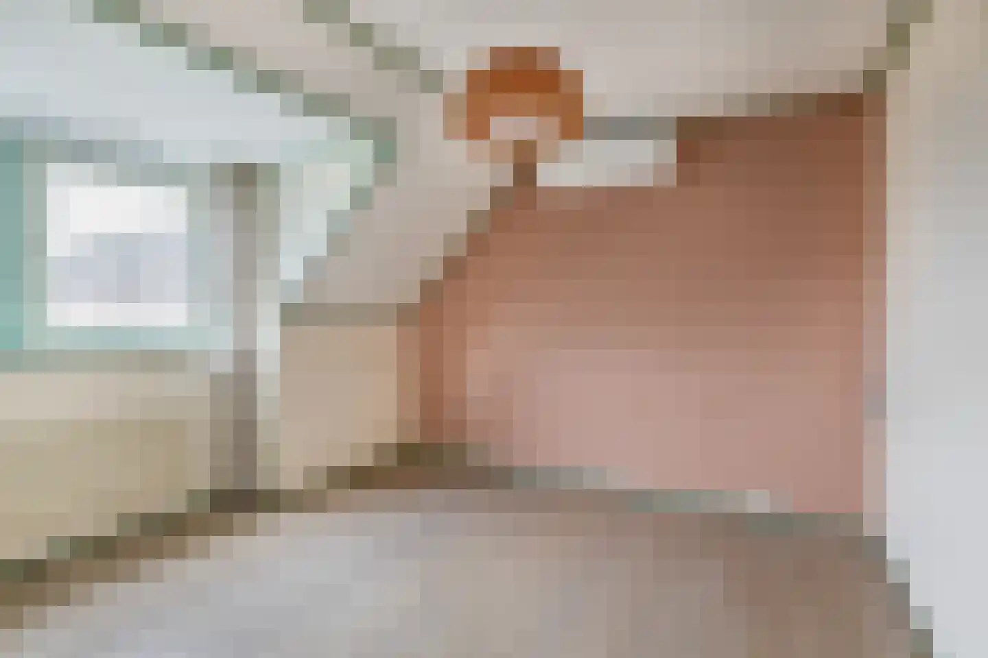 Tureluur 17 a Sommelsdijk thumbnail 17