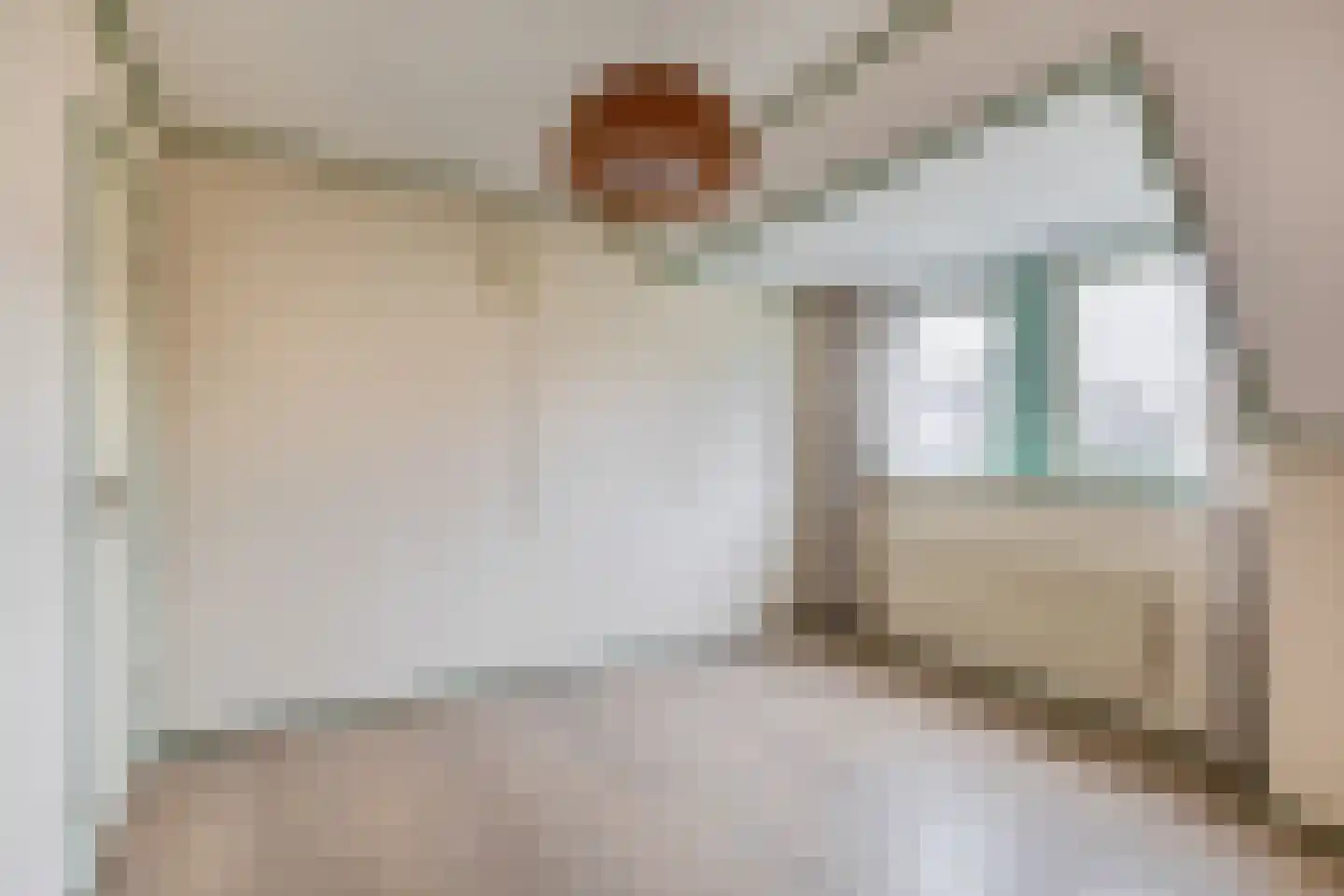 Tureluur 17 a Sommelsdijk thumbnail 18