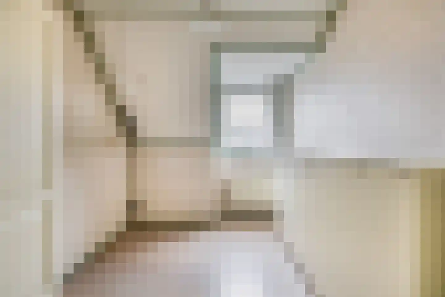 Tureluur 17 a Sommelsdijk thumbnail 20