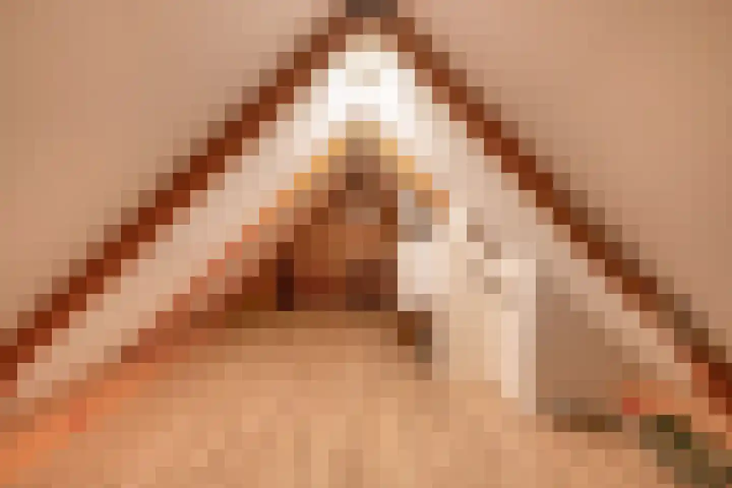Tureluur 17 a Sommelsdijk thumbnail 23