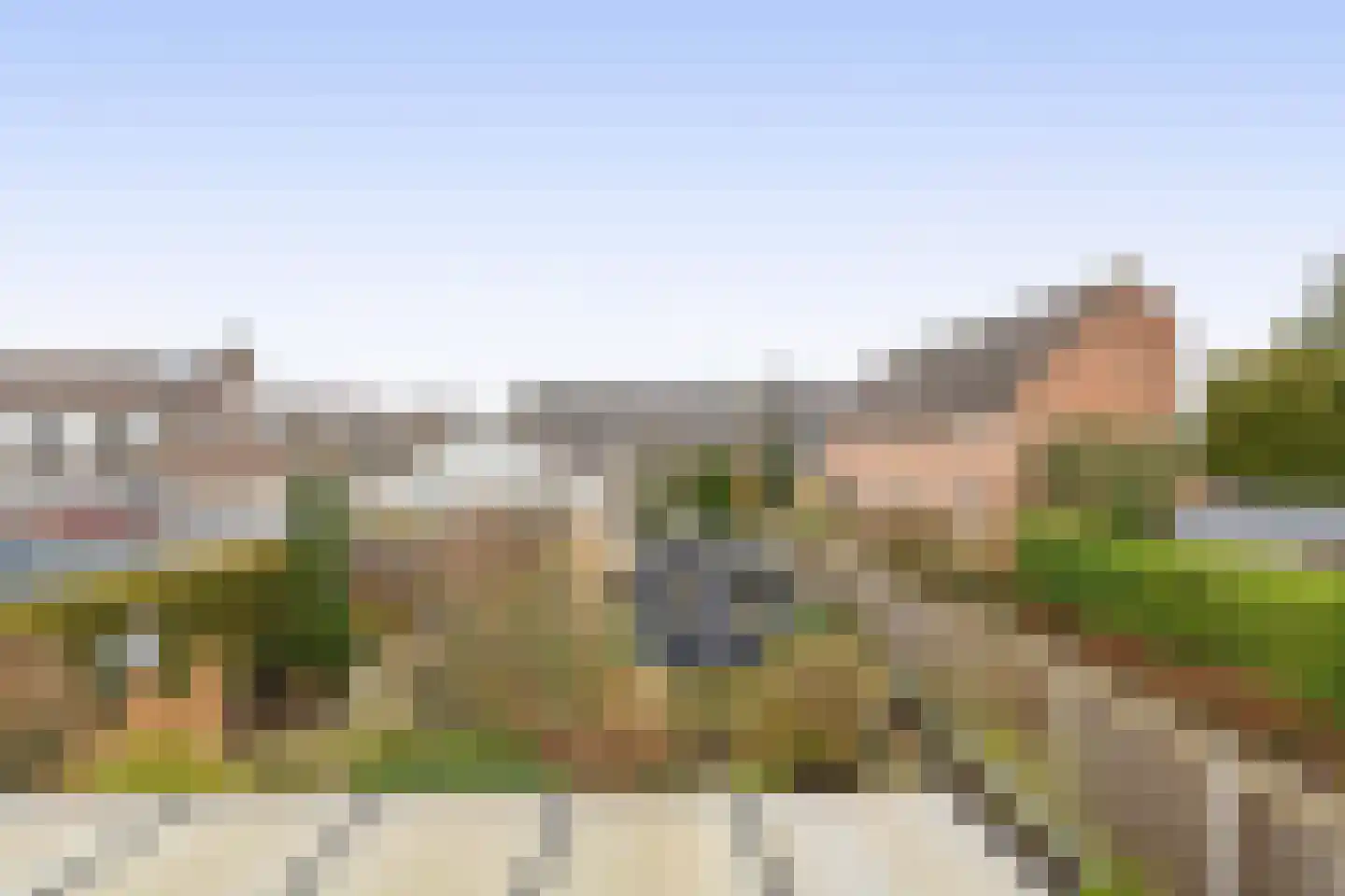 Tureluur 17 a Sommelsdijk thumbnail 25