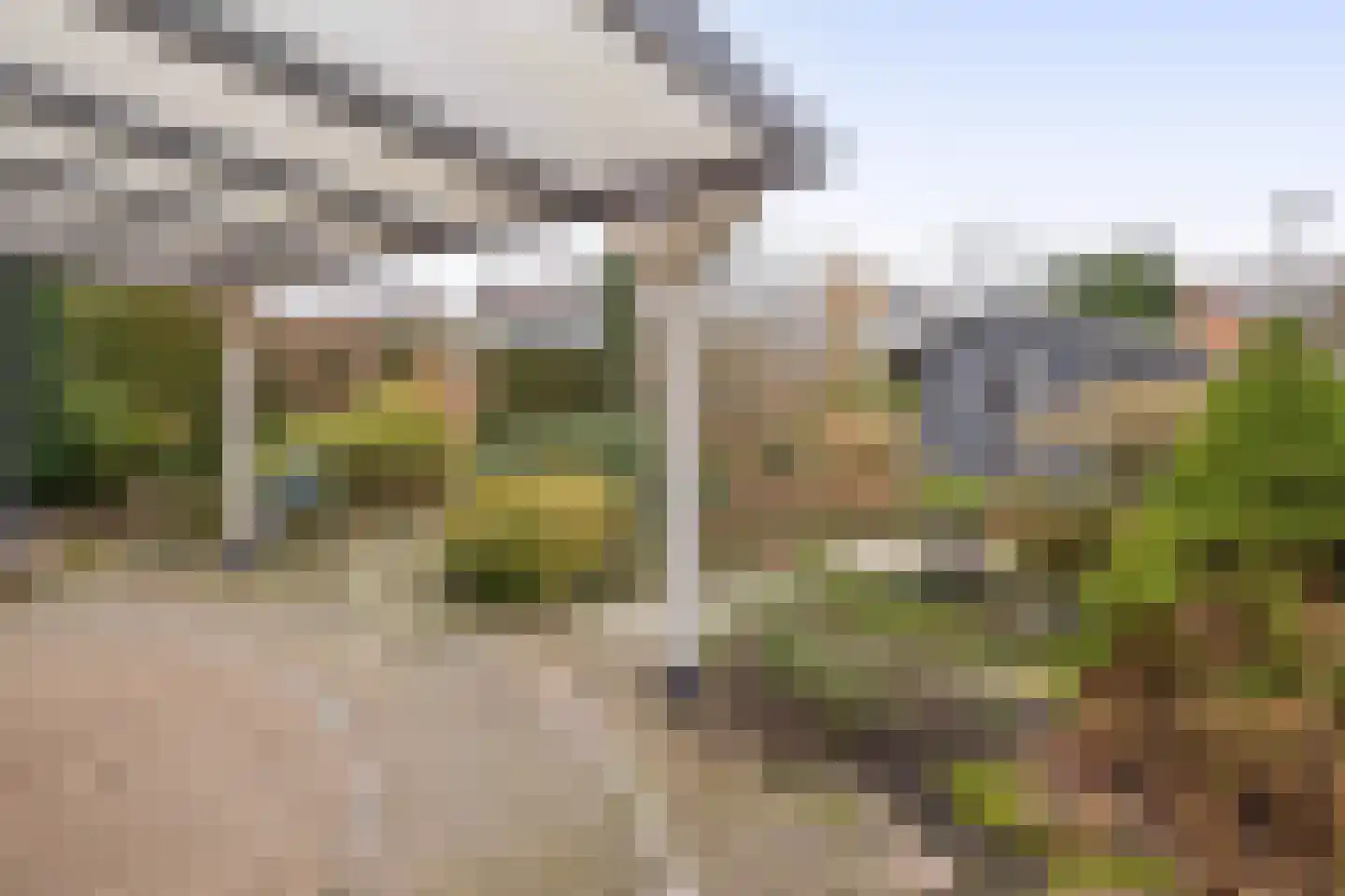 Tureluur 17 a Sommelsdijk thumbnail 26