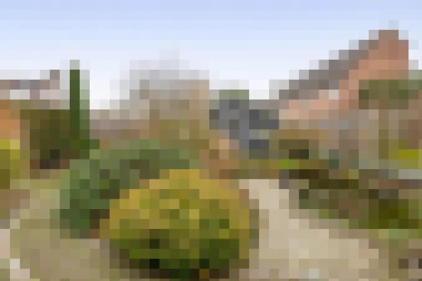Tureluur 17 a Sommelsdijk thumbnail 27