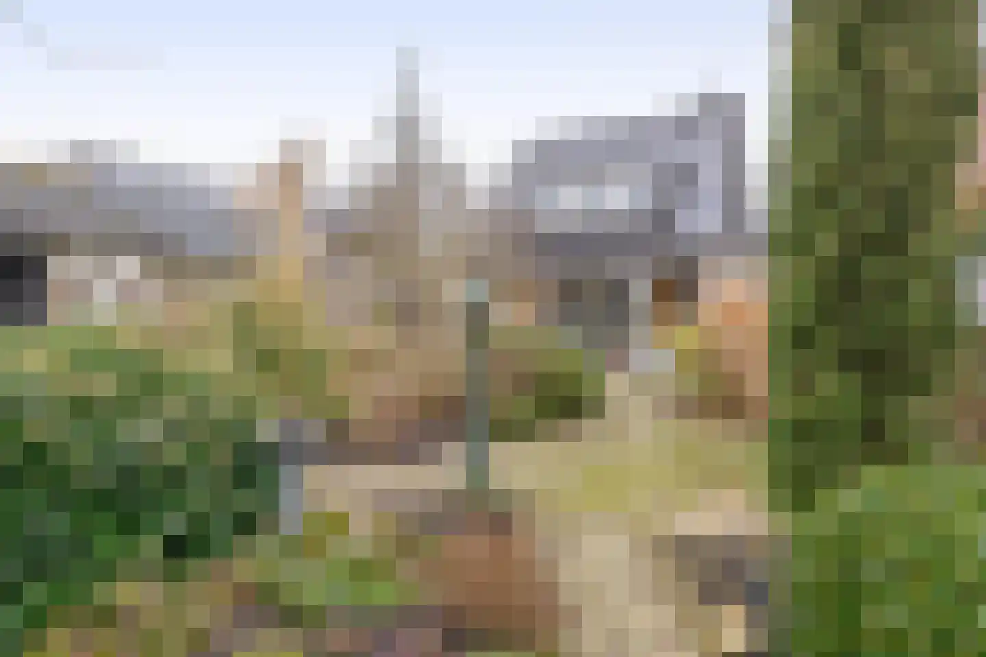 Tureluur 17 a Sommelsdijk thumbnail 28